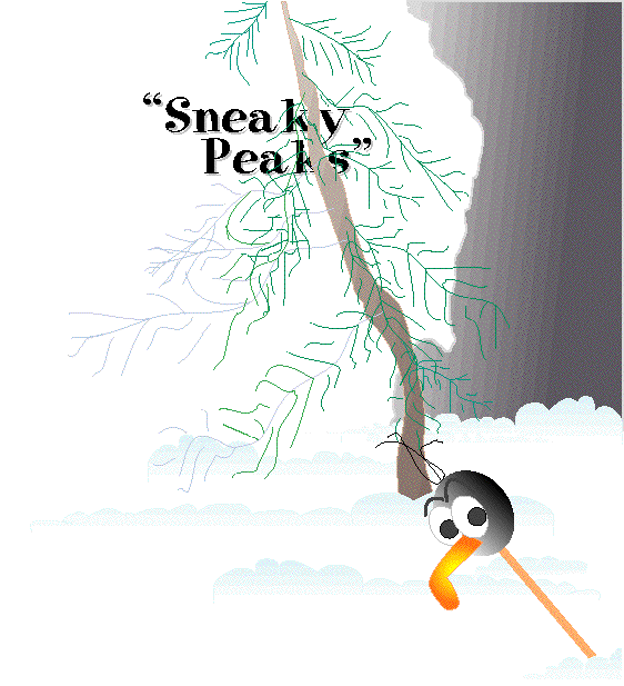 Sneaky Peeker